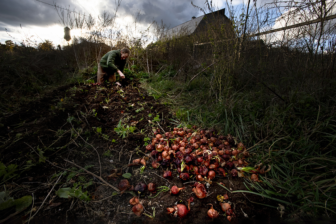 farmers Ontario Canada - Photography Farm Project
