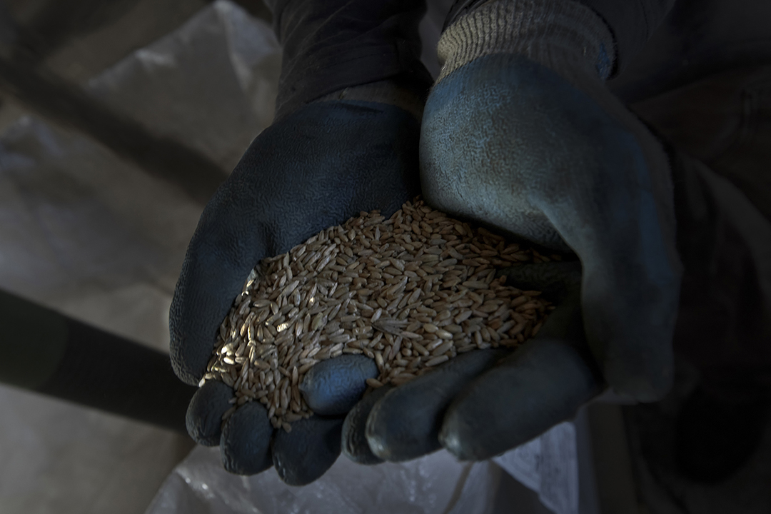 farmers Ontario Canada - ironwood organics grains farm