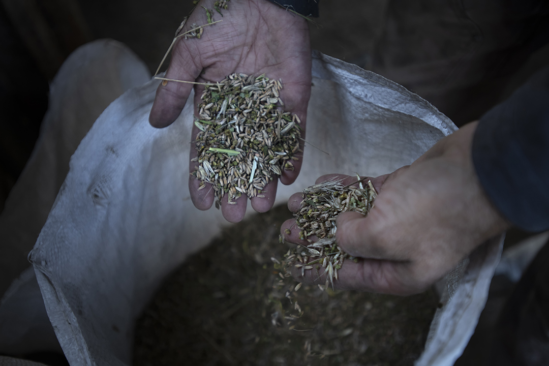 farmers Ontario Canada - ironwood organics grains farm