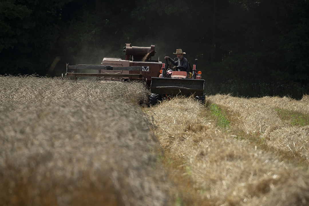 farmers Ontario Canada - ironwood organics grains farm