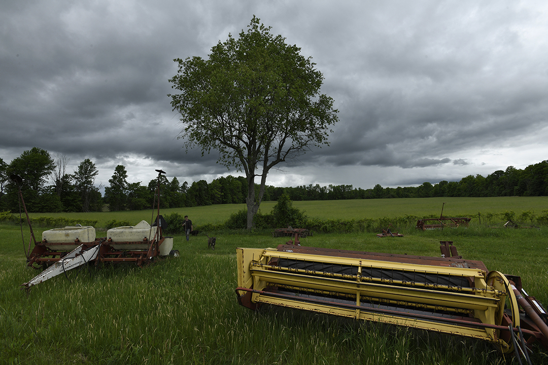 farmers Ontario Canada - ironwood organics grains farm