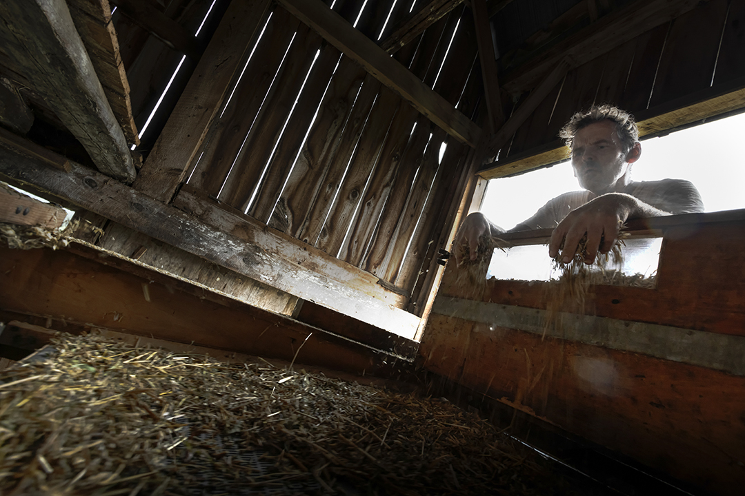 farmers Ontario Canada - ironwood organics grains farm